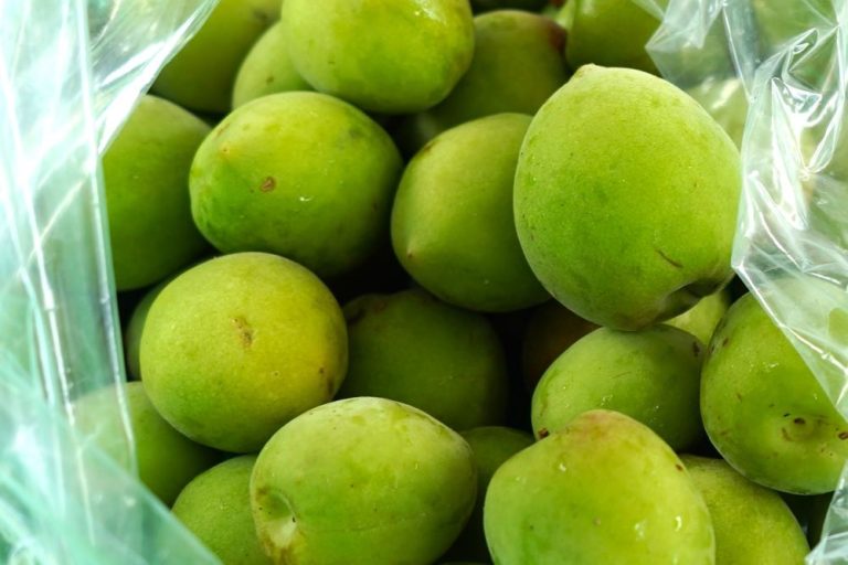 3/30-3/31臺北花博農民市集 春暖花開 南投青梅正好時