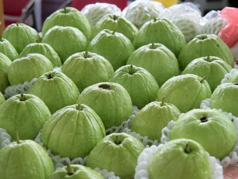 迎接初夏鳳梨正當時 滋味甜香又美味