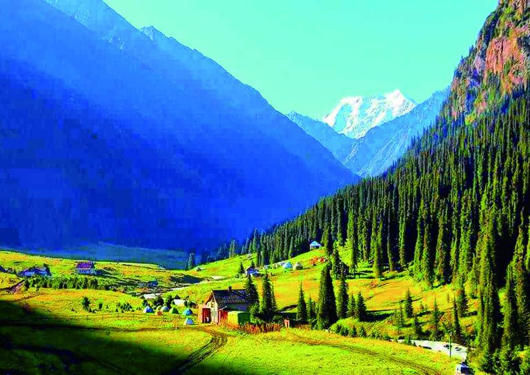 悅群旅行社 開拓觀光藍海，深耕中亞旅遊市場