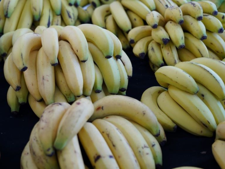 南投木瓜、香蕉飄香臺北花博農民市集 邀您一起認識在地好味道