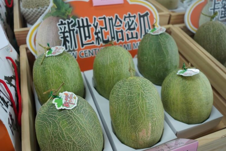 宜蘭哈密瓜登場花博農民市集 夏日產季甜度爆表