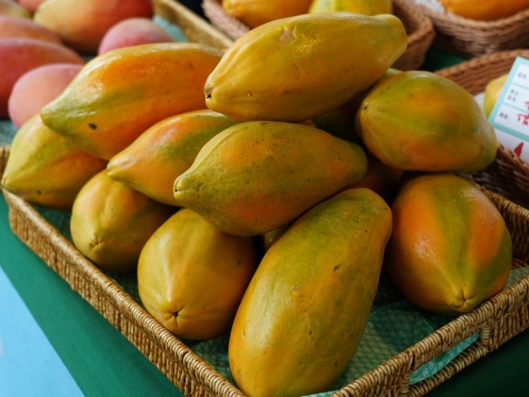 南投茶香果甜齊登場 花博農民市集週末熱鬧開展