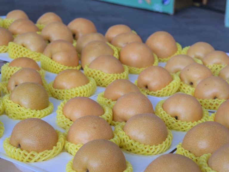 七月臺北花博農民市集 花博盛夏風 漫遊市集GO 臺北花博農民市集(捷運圓山站1號出口)