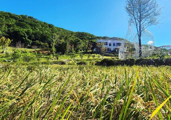 秋冬走進萬里山區 暖心山水與人文美食之樂活漫遊 秋冬走進萬里山區 暖心山水與人文美食之樂活漫遊