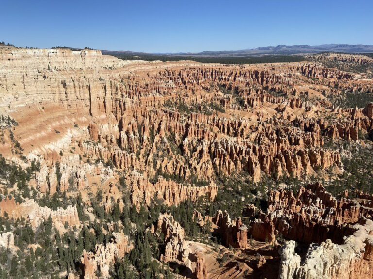 新春鉅獻｜美西雙樂園奇景深度10日：征服奇幻國度與浩瀚自然，歡度新年