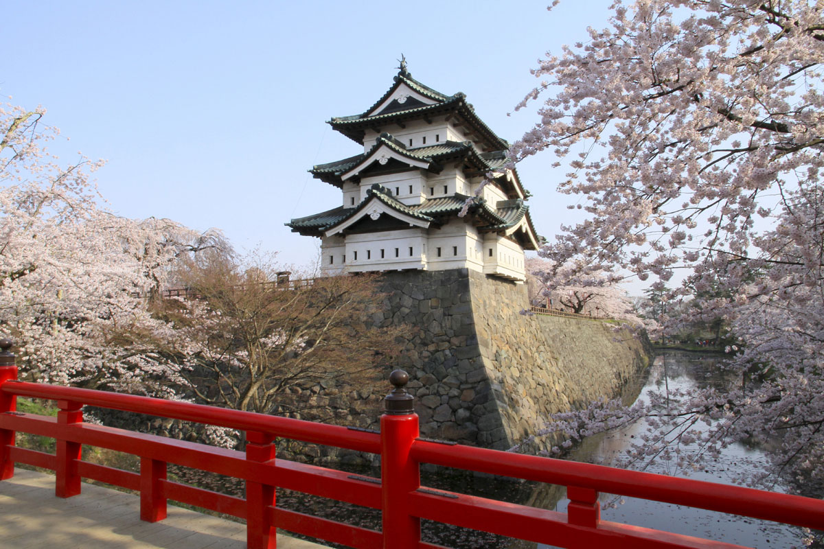 春季旅遊大檔登場!捷登旅行社推出 6 條日本深度賞櫻遊程