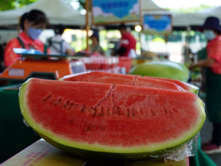 五月臺北花博農民市集 溫心五月天 愛馨綻花博 臺北花博農民市集(捷運圓山站1號出口)