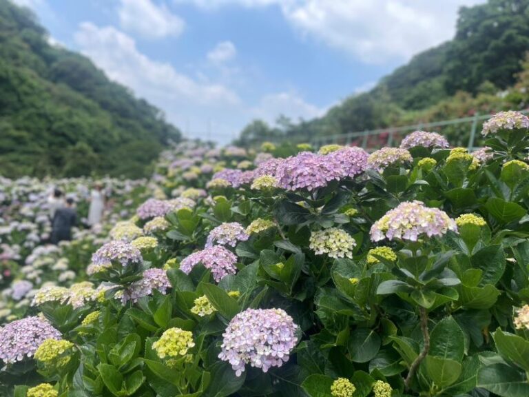 「花田樂章」奏響山城 花藝、音樂與人文交織的夏日盛典
