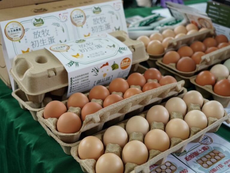 彰化芭樂、雞蛋農特產品展售活動 臺北花博農民市集